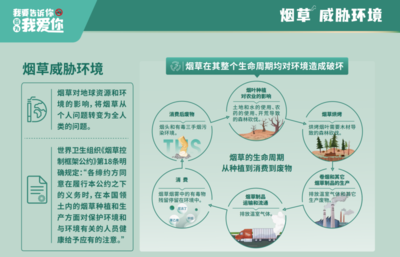 煙草產業鏈的隱性碳足跡 一個不容忽視的氣候挑戰